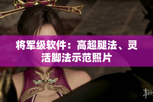 将军级软件：高超腿法、灵活脚法示范照片