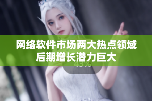网络软件市场两大热点领域后期增长潜力巨大