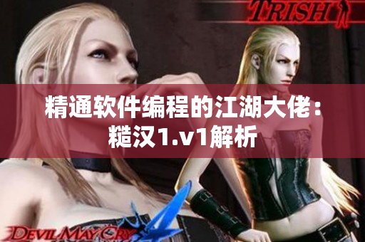精通软件编程的江湖大佬：糙汉1.v1解析