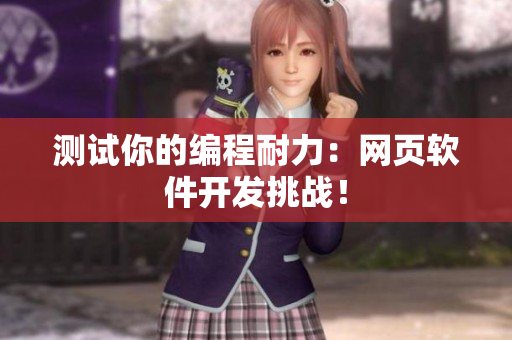 测试你的编程耐力：网页软件开发挑战！