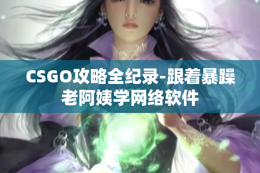 CSGO攻略全纪录-跟着暴躁老阿姨学网络软件