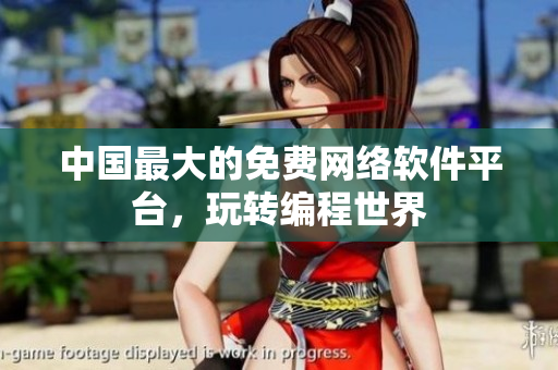 中国最大的免费网络软件平台，玩转编程世界