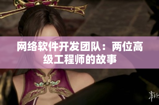 网络软件开发团队：两位高级工程师的故事
