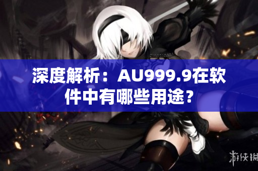 深度解析：AU999.9在软件中有哪些用途？