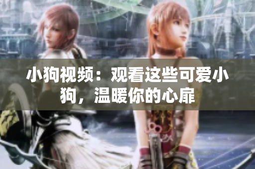 小狗视频：观看这些可爱小狗，温暖你的心扉