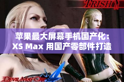 苹果最大屏幕手机国产化：XS Max 用国产零部件打造