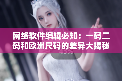 网络软件编辑必知：一码二码和欧洲尺码的差异大揭秘