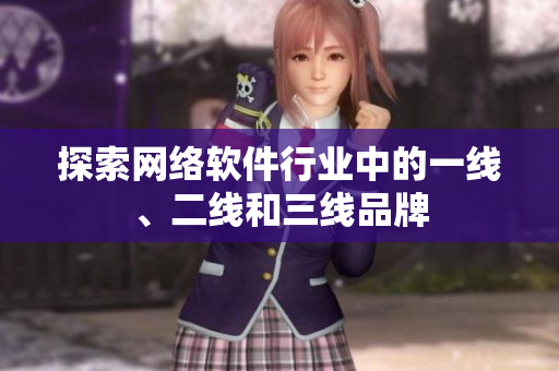 探索网络软件行业中的一线、二线和三线品牌