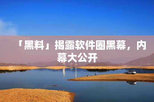 「黑料」揭露软件圈黑幕，内幕大公开