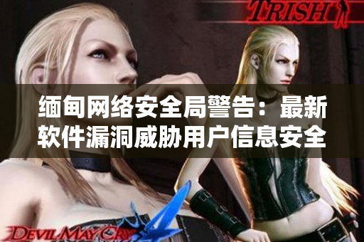 缅甸网络安全局警告：最新软件漏洞威胁用户信息安全