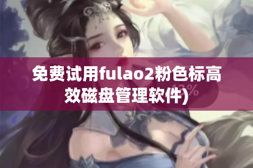 免费试用fulao2粉色标高效磁盘管理软件)