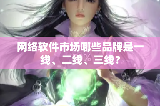 网络软件市场哪些品牌是一线、二线、三线？