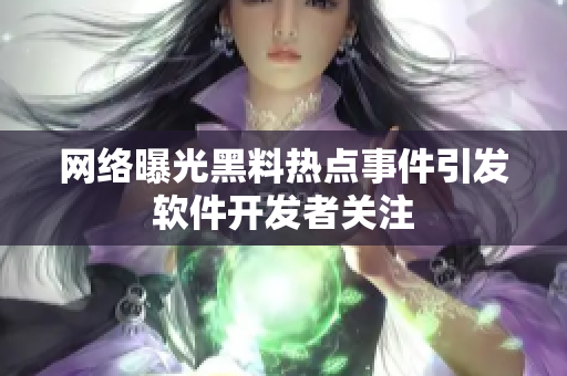 网络曝光黑料热点事件引发软件开发者关注