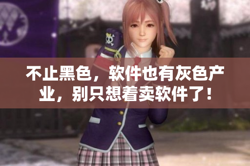 不止黑色，软件也有灰色产业，别只想着卖软件了！