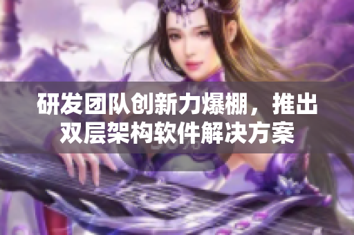 研发团队创新力爆棚，推出双层架构软件解决方案