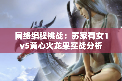 网络编程挑战：苏家有女1v5黄心火龙果实战分析