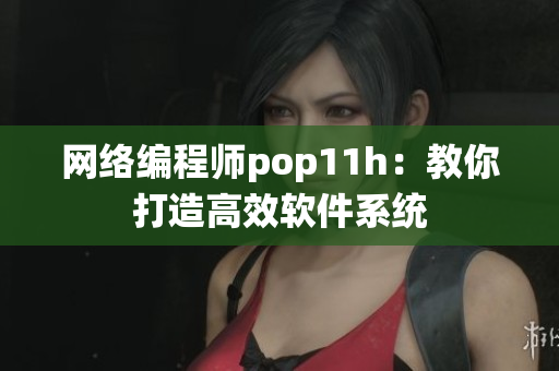 网络编程师pop11h：教你打造高效软件系统
