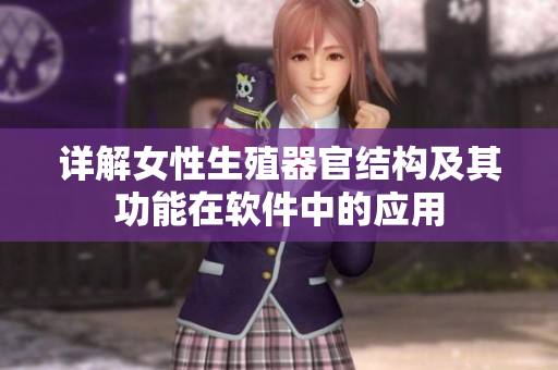 详解女性生殖器官结构及其功能在软件中的应用