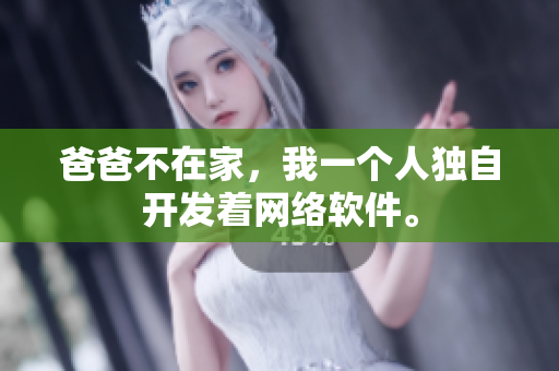 爸爸不在家，我一个人独自开发着网络软件。