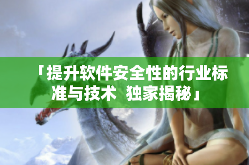 「提升软件安全性的行业标准与技术  独家揭秘」