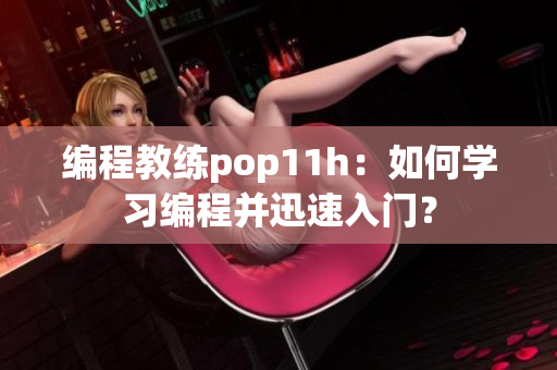 编程教练pop11h：如何学习编程并迅速入门？