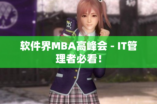 软件界MBA高峰会 - IT管理者必看！