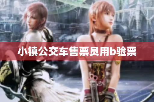小镇公交车售票员用b验票