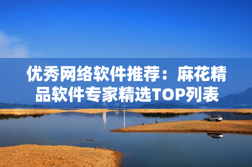 优秀网络软件推荐：麻花精品软件专家精选TOP列表