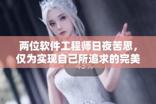 两位软件工程师日夜苦思，仅为实现自己所追求的完美代码