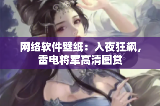 网络软件壁纸：入夜狂飙，雷电将军高清图赏