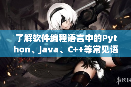 了解软件编程语言中的Python、Java、C++等常见语言介绍
