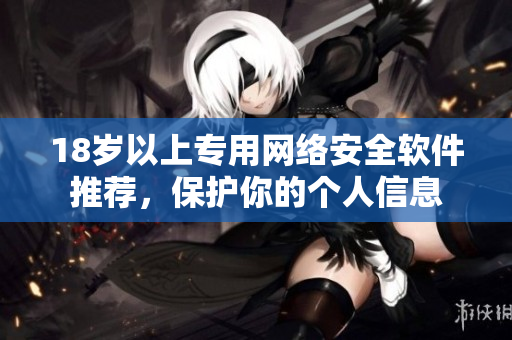 18岁以上专用网络安全软件推荐，保护你的个人信息