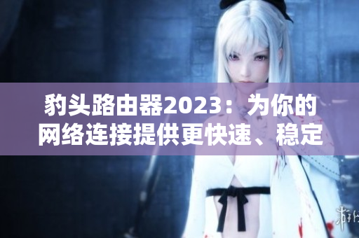 豹头路由器2023：为你的网络连接提供更快速、稳定的服务