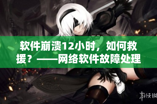 软件崩溃12小时，如何救援？——网络软件故障处理技巧分享