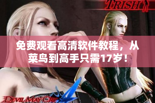 免费观看高清软件教程，从菜鸟到高手只需17岁！