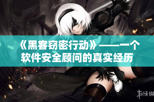 《黑客窃密行动》——一个软件安全顾问的真实经历