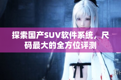 探索国产SUV软件系统，尺码最大的全方位评测