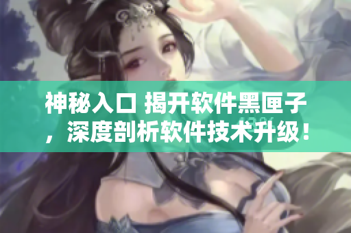 神秘入口 揭开软件黑匣子，深度剖析软件技术升级！