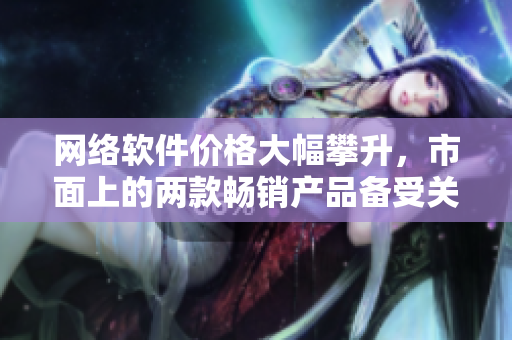 网络软件价格大幅攀升，市面上的两款畅销产品备受关注