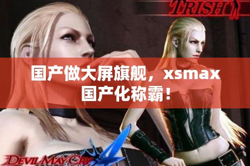 国产做大屏旗舰，xsmax国产化称霸！