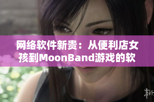 网络软件新贵：从便利店女孩到MoonBand游戏的软件开发之路