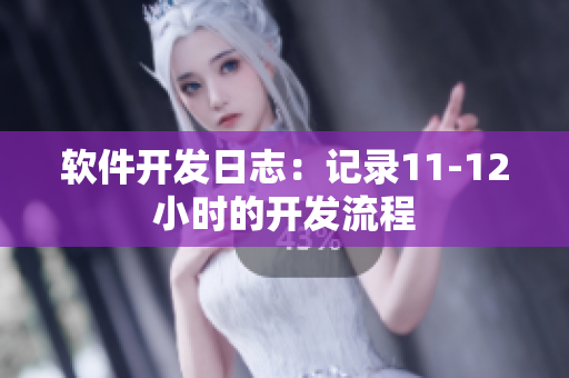 软件开发日志：记录11-12小时的开发流程