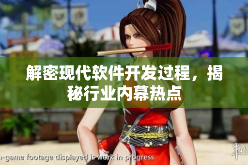 解密现代软件开发过程，揭秘行业内幕热点