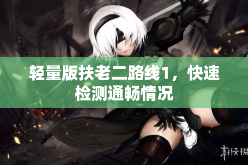 轻量版扶老二路线1，快速检测通畅情况