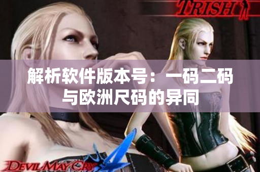 解析软件版本号：一码二码与欧洲尺码的异同
