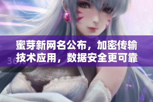 蜜芽新网名公布，加密传输技术应用，数据安全更可靠