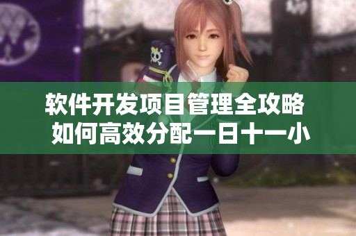 软件开发项目管理全攻略  如何高效分配一日十一小时