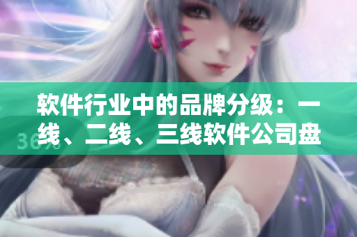 软件行业中的品牌分级：一线、二线、三线软件公司盘点