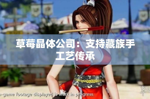 草莓晶体公司：支持藏族手工艺传承