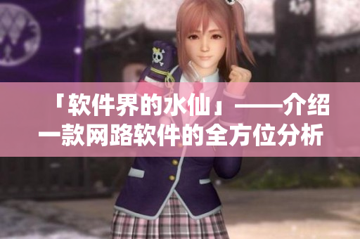 「软件界的水仙」——介绍一款网路软件的全方位分析